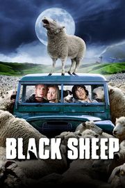 Picture of Black Sheep