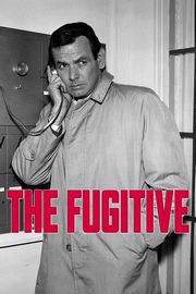 Picture of Fugitive, The